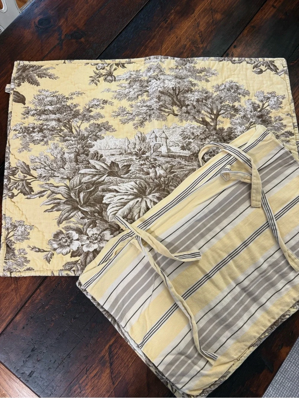 Pottery Barn Yellow and Brown Toile Pillow Shams (Pair)